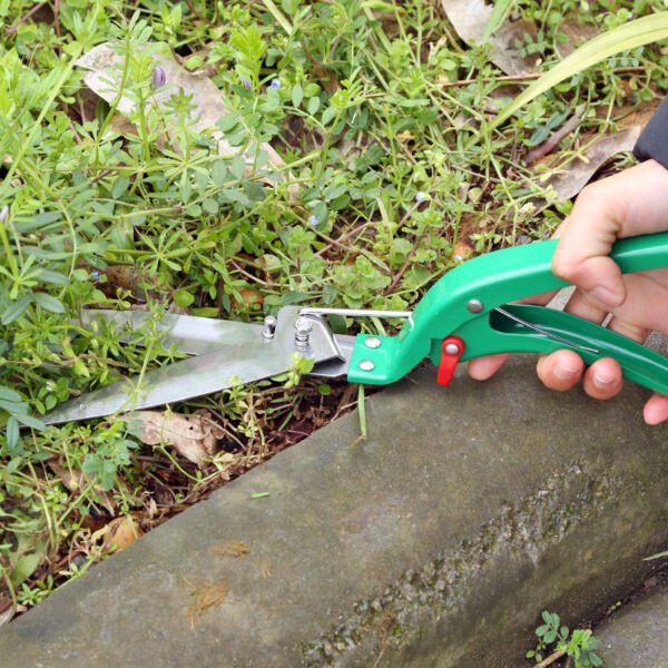Dix-pièce ensemble d'outils de jardinage – Image 4