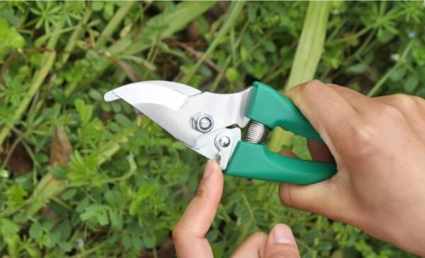 Dix-pièce ensemble d'outils de jardinage – Image 5